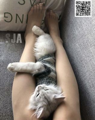 邓超版倚天屠龙记_BD国语高清在线观看